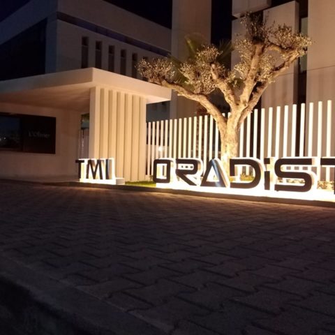 ORADIST -TMI